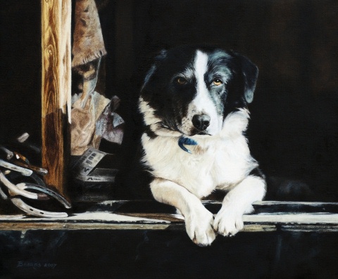 Buster, the Farrier's Dog