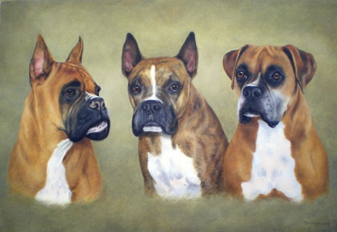 Bogie, Moxie and Maddie