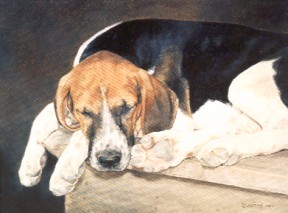 Dreaming of Cubbing