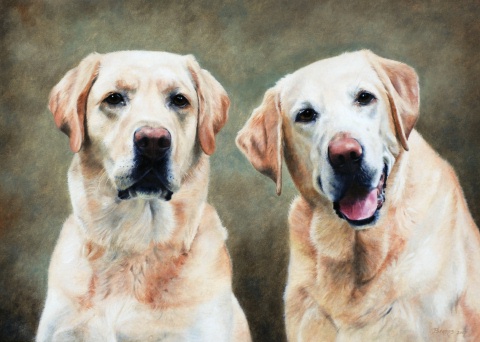 Bo and Zoe