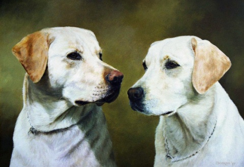 Dogwood and Maggie