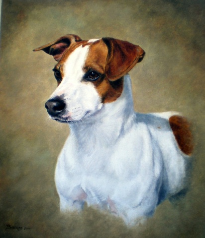 Mr. Max