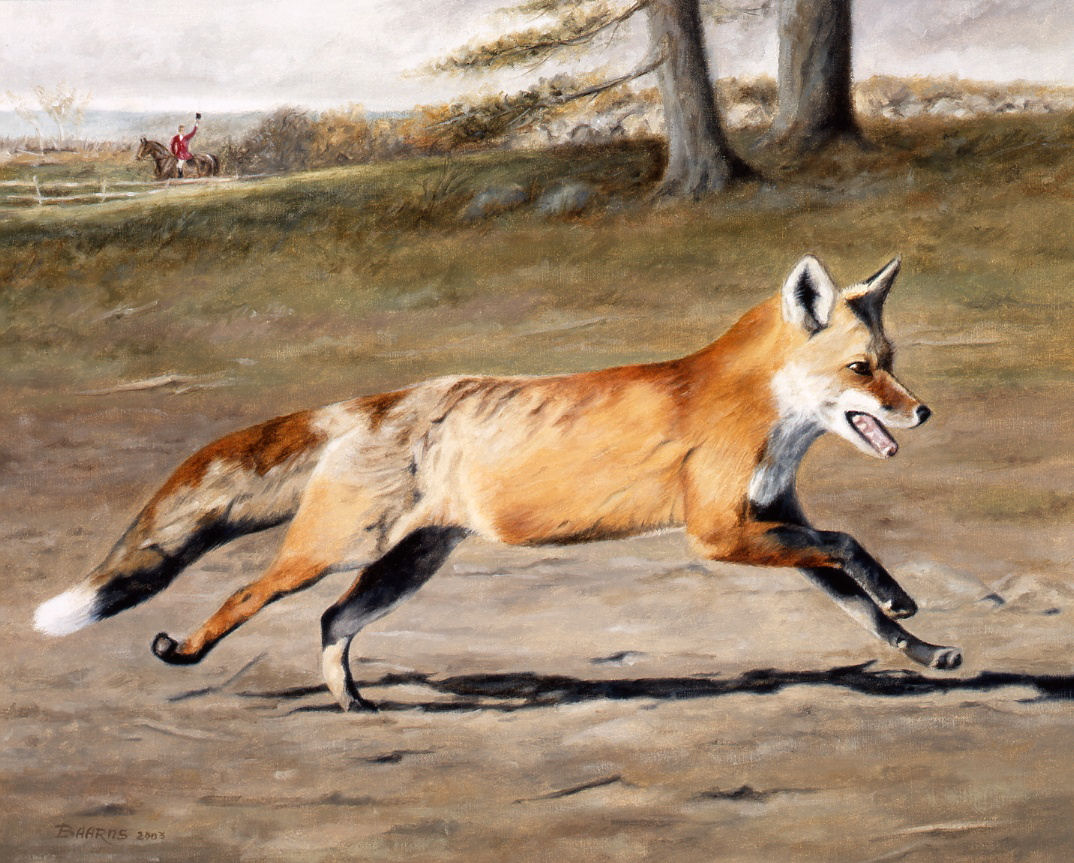 Tally-Ho