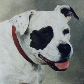 Petey