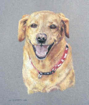 Hattie