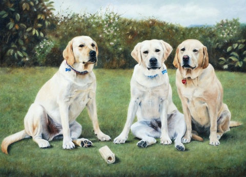 Riley, Mackie and Sandy